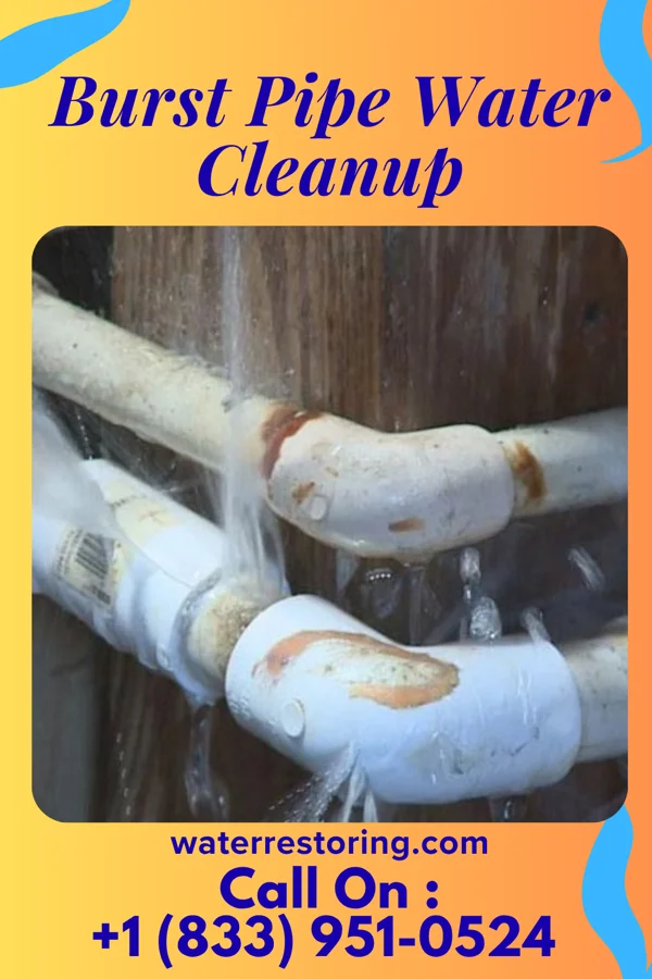 Burst Pipe Water Cleanup in Oak Level, VA