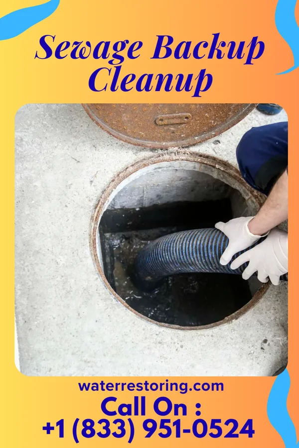 Sewage Backup Cleanup in Oak Level, VA