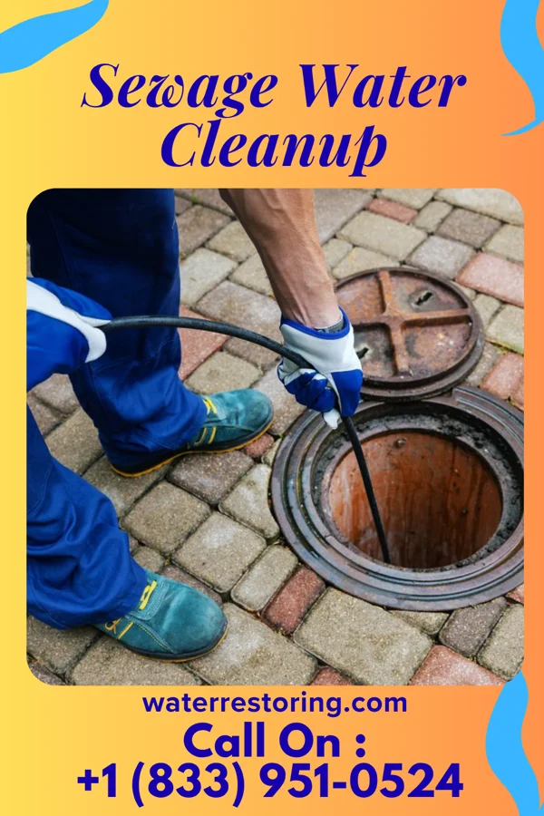 Sewage Water Cleanup in Oak Level, VA
